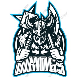Viking Warrior