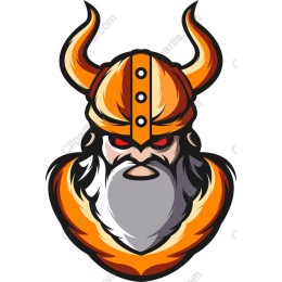 Viking Warrior