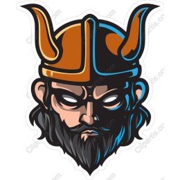 Viking Warrior