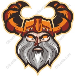 Fierce Viking Warrior