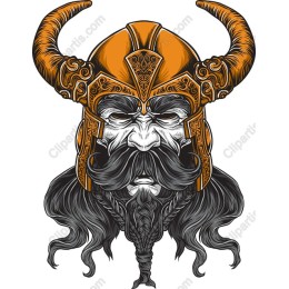 Viking Warrior