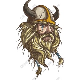Viking Warrior