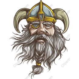Viking Warrior