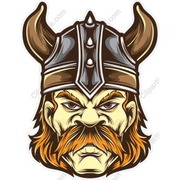 Fierce Viking Warrior