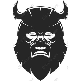 Viking Warrior