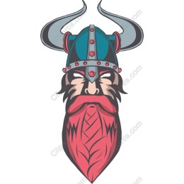 Viking Warrior