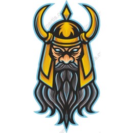 Viking Warrior