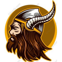 Viking Warrior