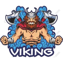 Viking Warrior