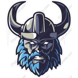 Viking Warrior