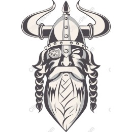 Viking Warrior