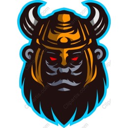 Viking Warrior