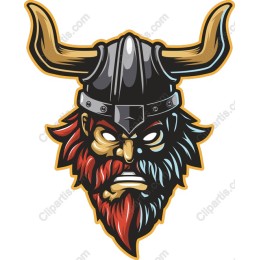 Viking Warrior