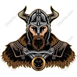 Viking Warrior