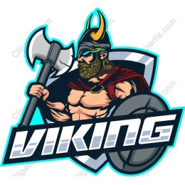 Viking Warrior