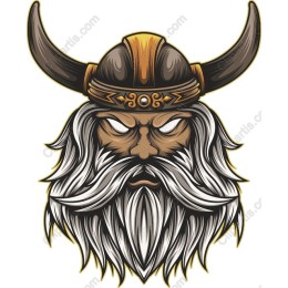 Viking Warrior