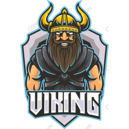 Fierce Viking