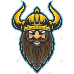 Viking Warrior