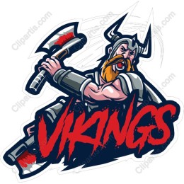Viking Warrior
