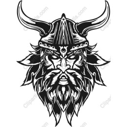 Viking Warrior