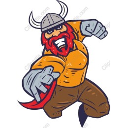 Viking Warrior