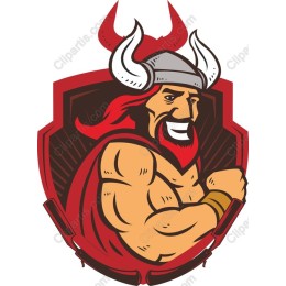 Viking Warrior