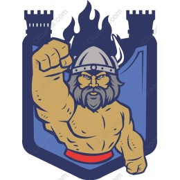 Viking Warrior