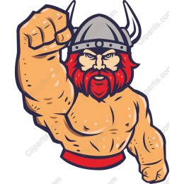 Fierce Viking Warrior