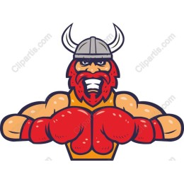 Fierce Viking Boxer