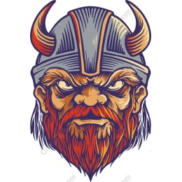 Viking Warrior
