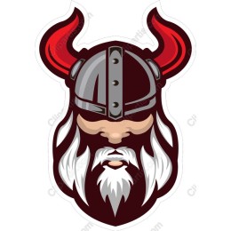 Fierce Viking Warrior