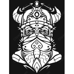 Viking Warrior