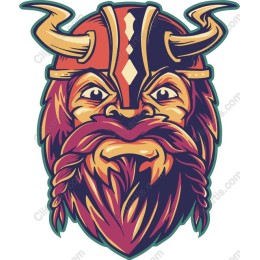 Viking Warrior
