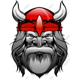 Viking Warrior