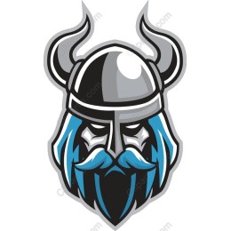 Viking Warrior Head