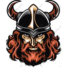 Viking Warrior