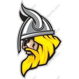 Viking Warrior