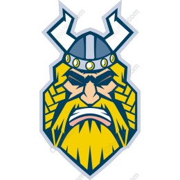 Fierce Viking Warrior