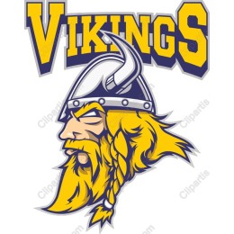 Fierce Viking Warrior
