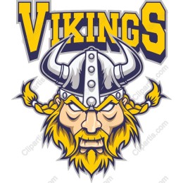 Fierce Viking Warrior