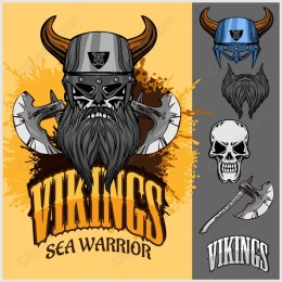 Vikings Sea Warrior