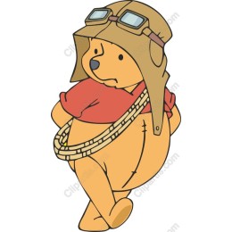 Aviator Bear