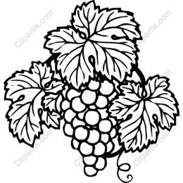 Elegant Grape Vine