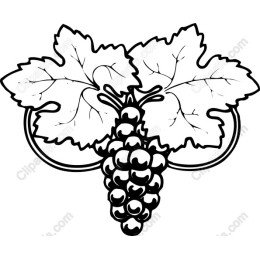 Grape Vine Clipart - Hand-Drawn