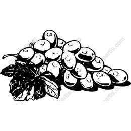 Grapes - Black and White