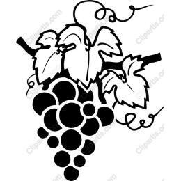 Grapes and Vines work