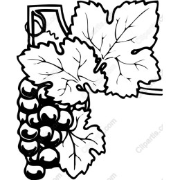 Elegant Grapes and Leaves