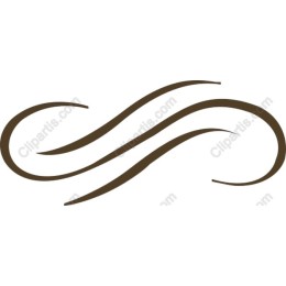 Elegant Abstract Flowing Lines