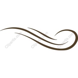 Elegant Swirl