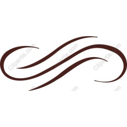 Elegant Swirl